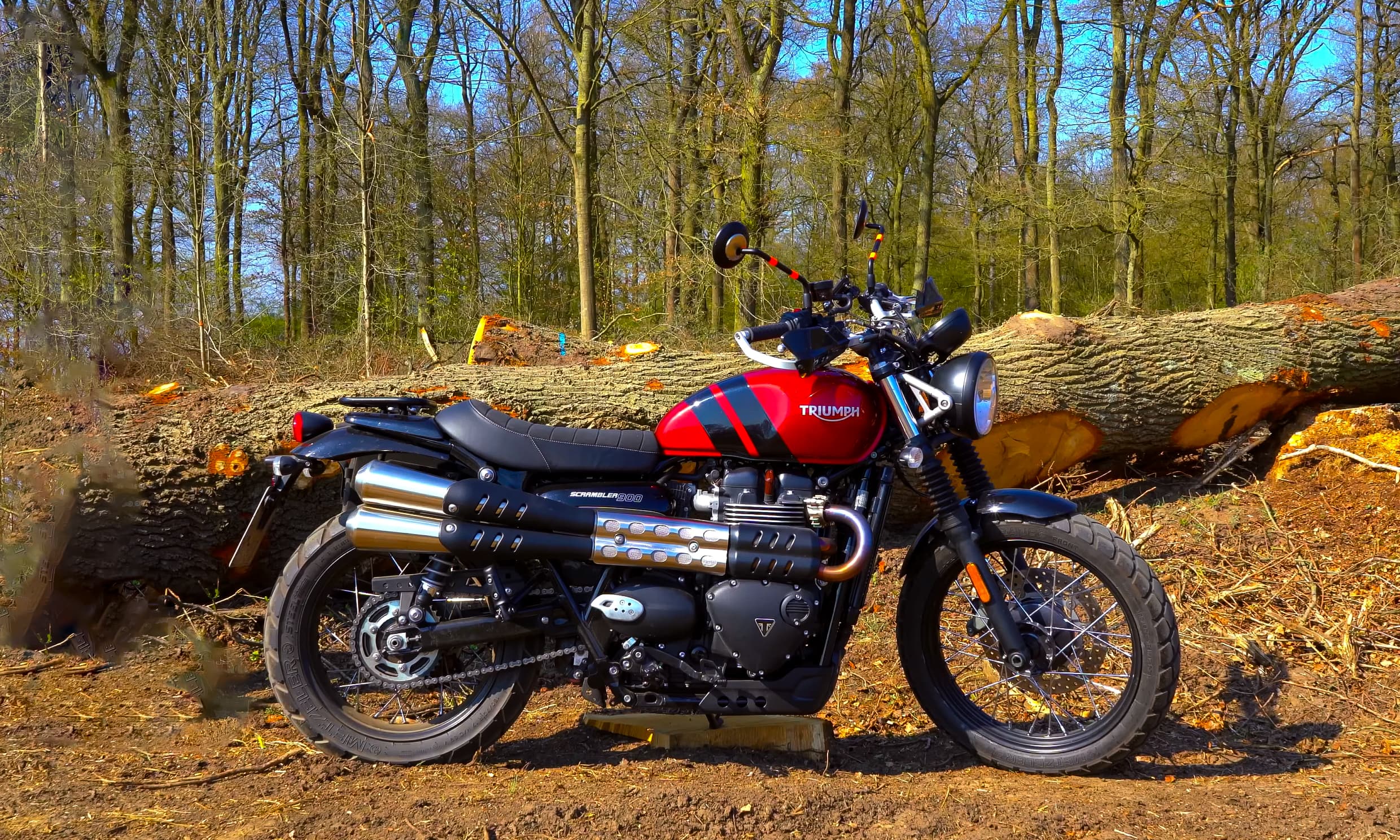 Triumph SCRAMBLER 900 2025
